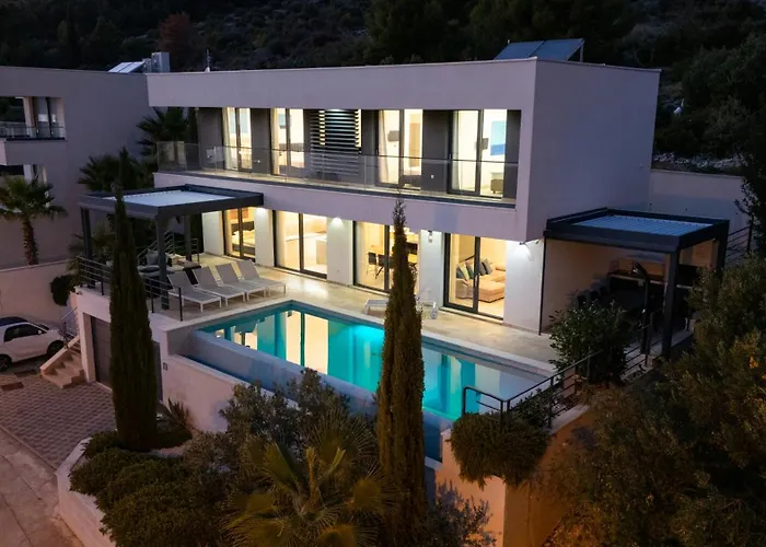 White Palm Excelsior