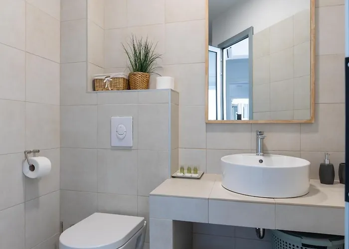 White Palm Excelsior Villa Seget Vranjica