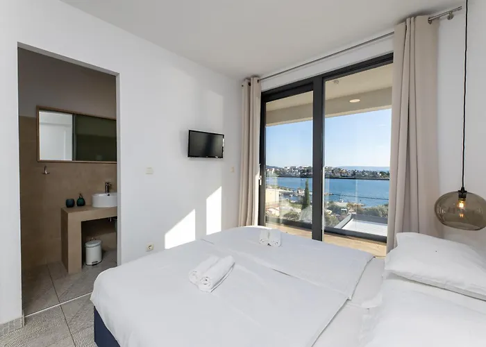 White Palm Excelsior Seget Vranjica