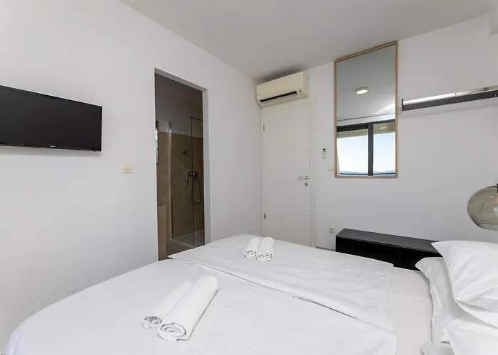 White Palm Excelsior * Seget Vranjica