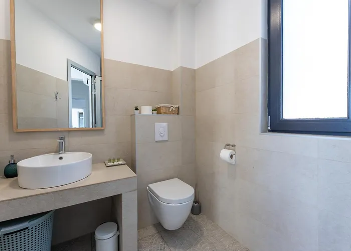 White Palm Excelsior Seget Vranjica