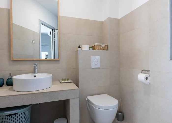 White Palm Excelsior *