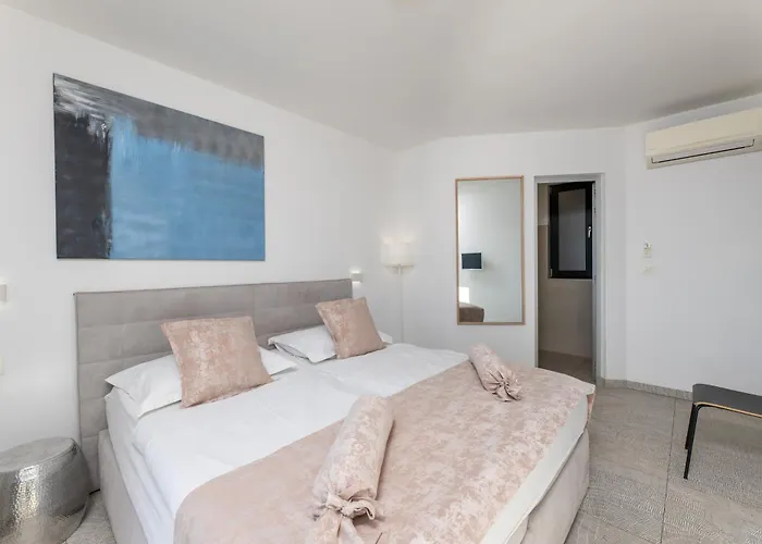 White Palm Excelsior Seget Vranjica