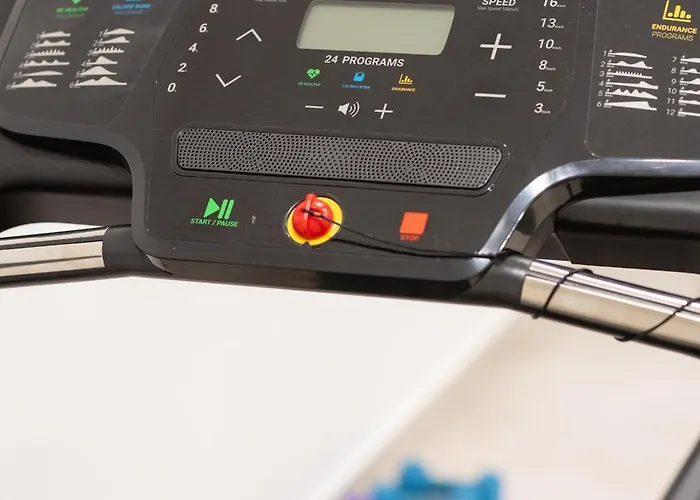 White Palm Excelsior