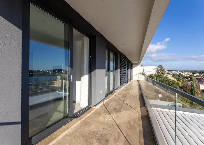 White Palm Excelsior