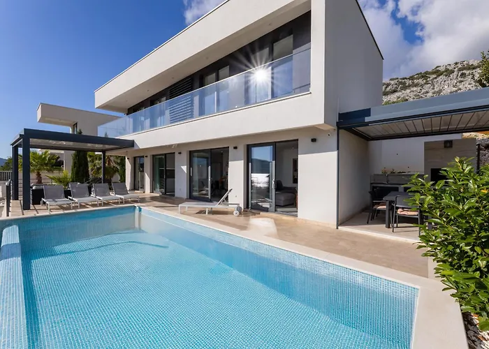 White Palm Excelsior *