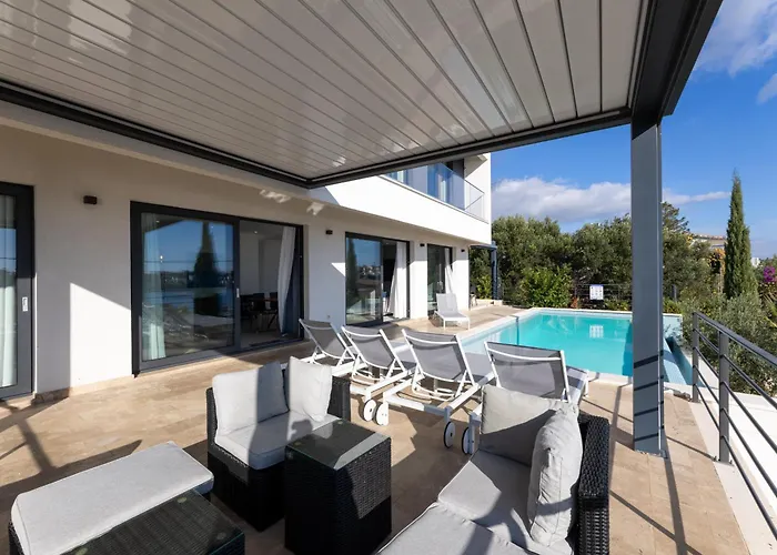 White Palm Excelsior *