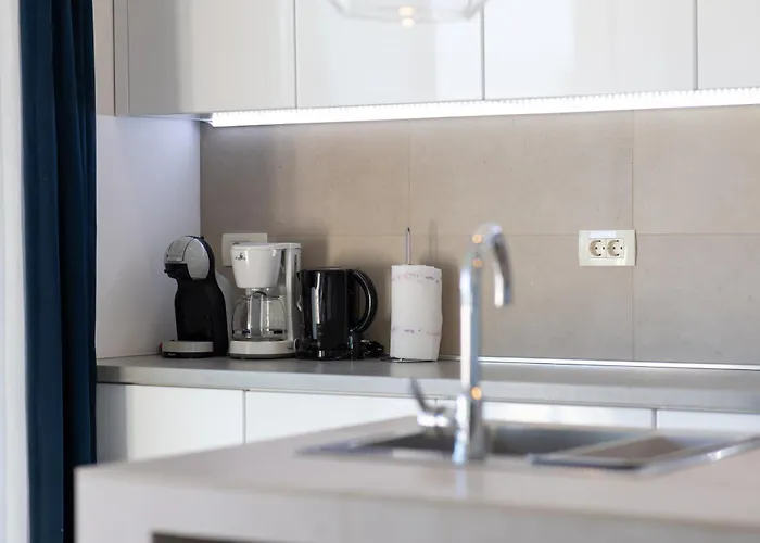Vila White Palm Excelsior Seget Vranjica